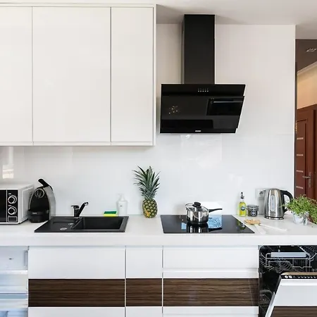 Rent Like Home - Zakopianskie Tarasy Apartman *